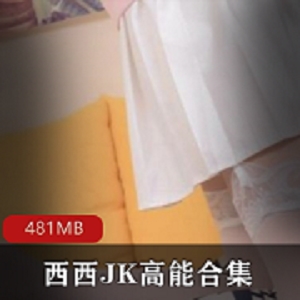 西西JK的高能美腿直播名场面精编版（481MB）