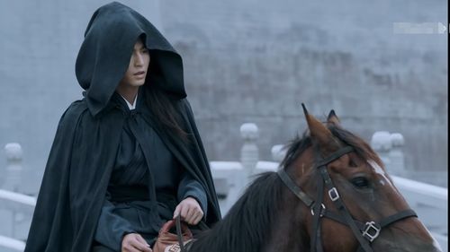 镖行天下/镖行天下前传21部电影高清1080P版本，阿里云网盘下载、在线播放！