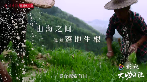 《风味人间》纪录片3部：中国风土人情，APP观看，原画资源可下载