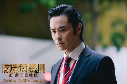 2022年《反贪风暴5：最终章》4K/1080P多版本内嵌字幕，国语粤语双语观看，真实故事精彩上映