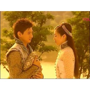 《2003少年王卫斯理40集全网最高清》吴奇隆、于波联袂演绎奇幻冒险之旅