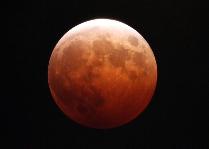 《异变暴龙（2022）：解开谜团，拯救世界》