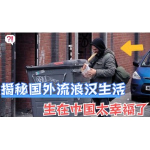 《21世纪贫穷问题：砖家的解决方案》