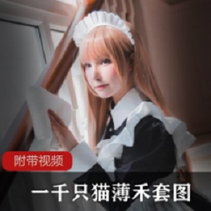 一千只猫,四套写真,今天,她成了全中国最火的IP。