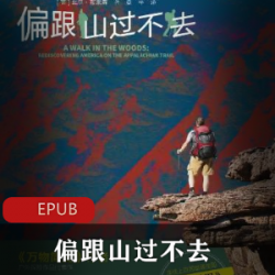 今天,我们为什么推荐电子书要向山过不去?