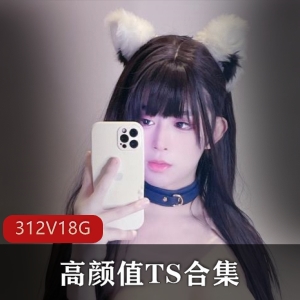 高颜值TS主播合集，312个视频共18.4G，TS李智贤、TS露丝妹妹等人气网红一网打尽！