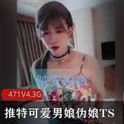 471V4.3G推特可爱男娘TS精品视频合集