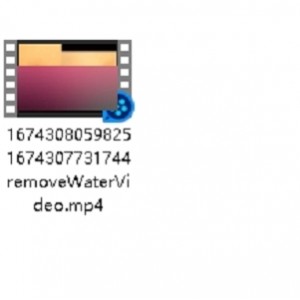 男人谎言视频百度盘