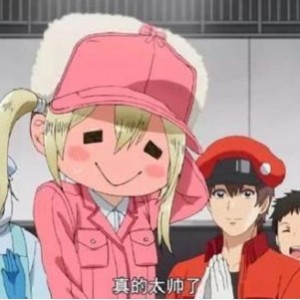 工作细胞：官方链接、阿里云盘、APP、视频、原画、倍速一应俱全