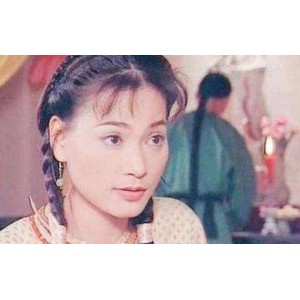《中国大陆地区优秀电视剧大赏：汉尼拔、朱元璋、倚天屠龙记、乔家的儿女、不老奇事、太极宗师和对手》