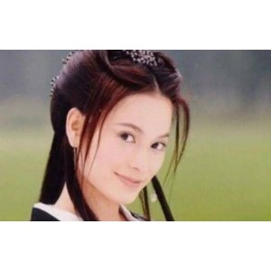 《中国大陆地区优秀电视剧大赏：汉尼拔、朱元璋、倚天屠龙记、乔家的儿女、不老奇事、太极宗师和对手》