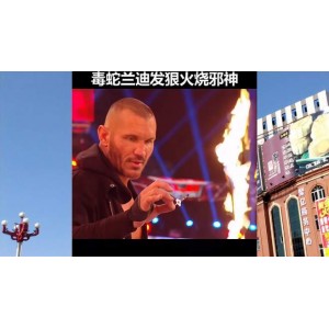 『毒蛇(2021)』：极速下载、在线查看、原画高清播放、倍速播放，一起展开史诗般冒险！