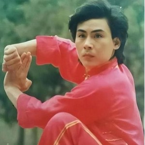 《海灯传奇：甄子丹师父赵长军主演，1-16全集，网上5000大洋收藏！》