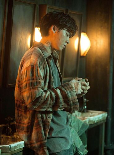 《豆瓣高分动物世界：李易峰精彩表演，4K艾薇Cmp4格式，原画倍速播放，极速流畅，在线观看更清晰》