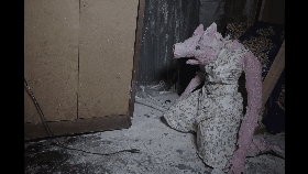 第九区:美国新西兰南非加拿大+动作科幻惊悚剧情+...2009...