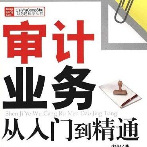 审计业务小帮手《审计业务从入门到精通》