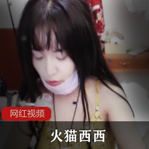 火猫西西最全合集：顽皮主播百度视频，9.6GB高清内容涵盖私播录播