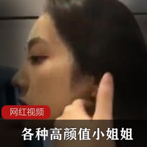 高颜值小姐姐作品精选：小合集，共10个视频，总大小253MB
