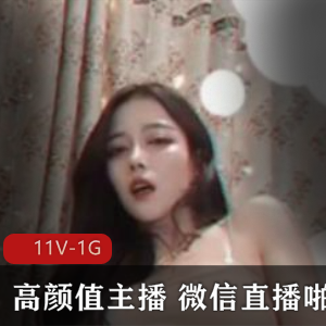 神秘无名美女主播微信直播噼里啦视频合集11v-1G