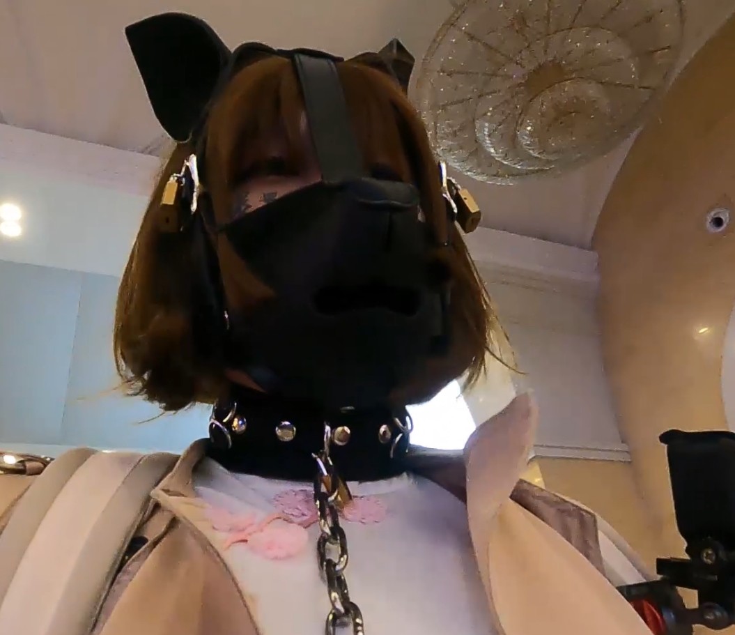 神秘满月之夜：17.9G视频小合集，恶趣味收藏，闪现购买