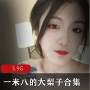 一米八优质美女大梨子资源合集，5.9G视频大小，身材高挑美腿尽显魅力