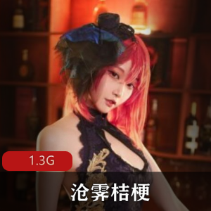 沧霁桔梗资源合集：孙尚香、兔女等精品作品，1.3G视频数量