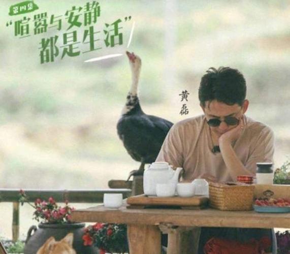 向往的生活：阿里云盘视频、原画、APP资源，倍速播放，享受动漫