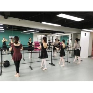 芭蕾舞蹈学习经典：极致yan+wu、新鲜感、阿里云盘、倍速播放