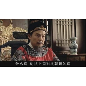 经典电视剧集：《白鹿原》《甄嬛传》《王牌部队》《神雕侠侣》《薛仁贵传奇》《觉醒年代》《走向共和》