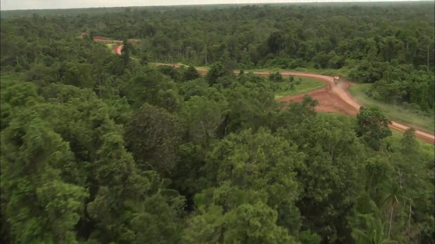 2022年BBC热门纪录片：《绿色星球》，由大卫·阿滕伯勒主持，探索植物的奇妙世界