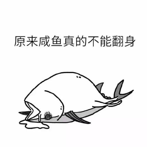 《咸鱼哥》：阿里云文件夹驱动程序，实现文件夹同步、备份和共享