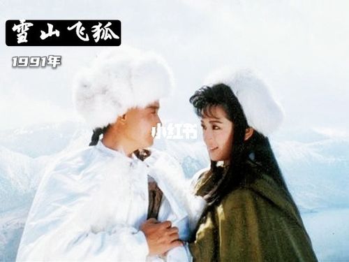 《1991江西卫视高清珍藏版《雪山飞狐》：孟飞、龚慈恩领衔主演的经典之作》