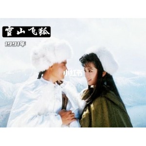 《1991江西卫视高清珍藏版《雪山飞狐》：孟飞、龚慈恩领衔主演的经典之作》
