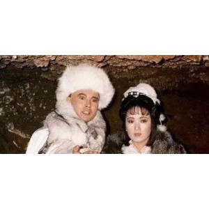 《1991江西卫视高清珍藏版《雪山飞狐》：孟飞、龚慈恩领衔主演的经典之作》
