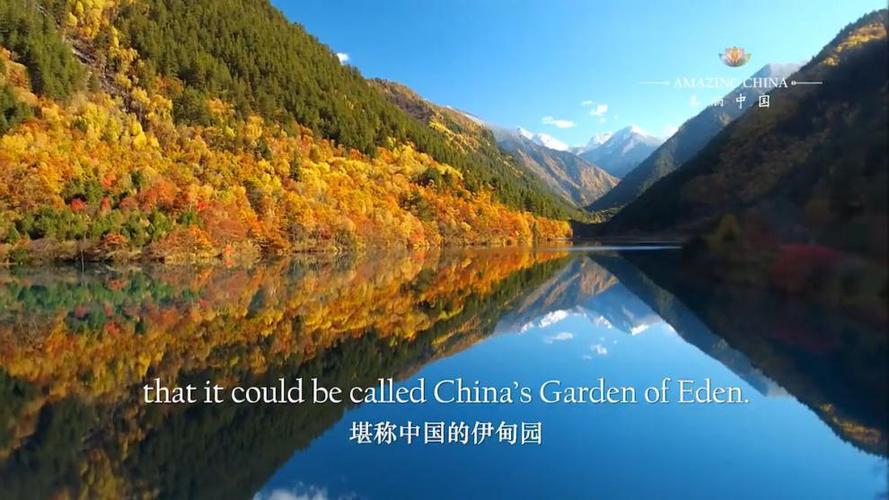 464G中国纪录片：最经典历史文化，阿里云下载