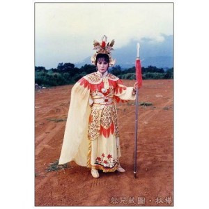 《1976/碧血剑/忠义之剑/高清修复版/魏秋桦/文雪儿/美女如云》