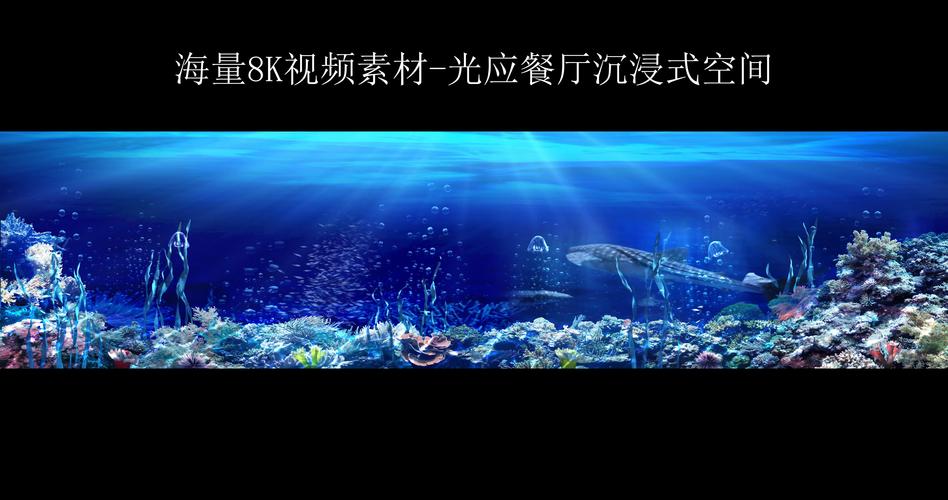 《海底动物世界：8K极致画质，分钟完爆你的视觉》