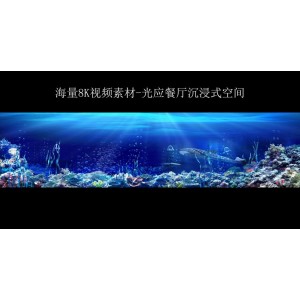 《海底动物世界：8K极致画质，分钟完爆你的视觉》