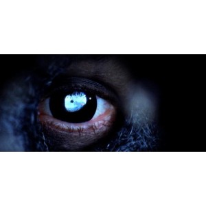 《夜魔2:藏品》——动作/惊悚/恐怖片，精彩续作！