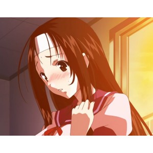 《猥褻ミサイルTHEANIMATION：美丽的世界，猥褻的心》