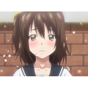 坂本先辈：纯爱篇，高清自压中文wu+ma版，7z解压