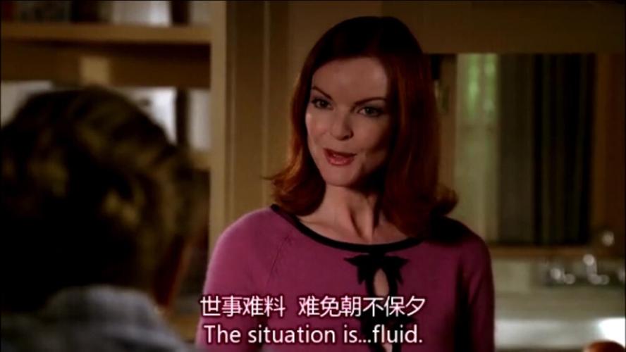 「绝望主妇1-8季全」