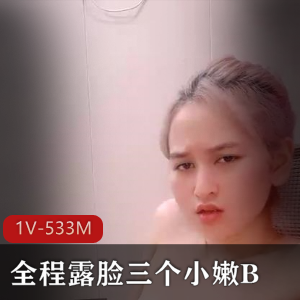 《某处自拍秀：全程露脸1V-533M》