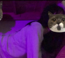 百合女大学生日常互动装备：超值JB百度盘