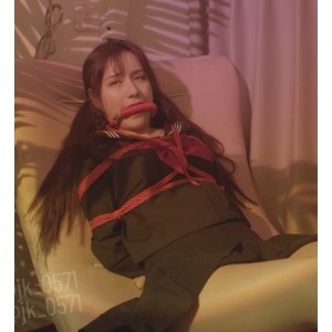 PornhubJK女友视频：9v3.2G，百度盘免费下载