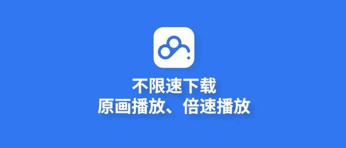 极速观看，稀缺资源，优秀电视剧合集