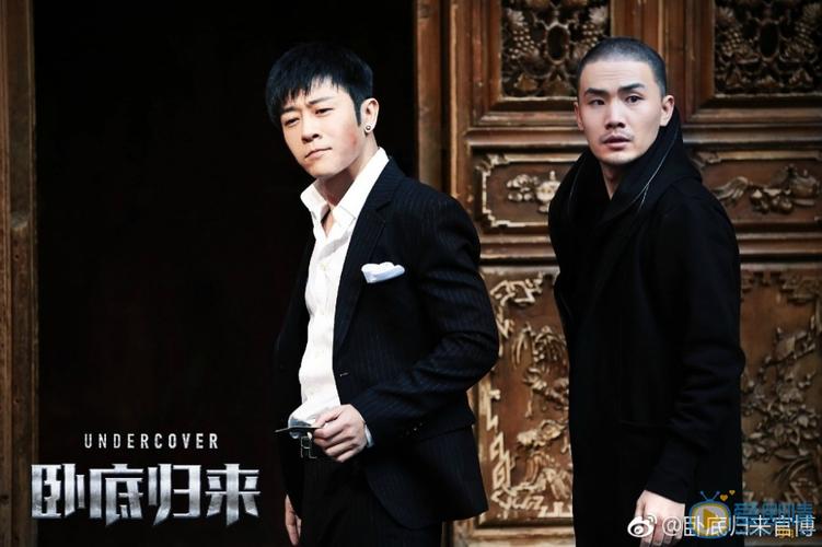 阿里云上下载：《卧底归来》电影安全高速观影体验
