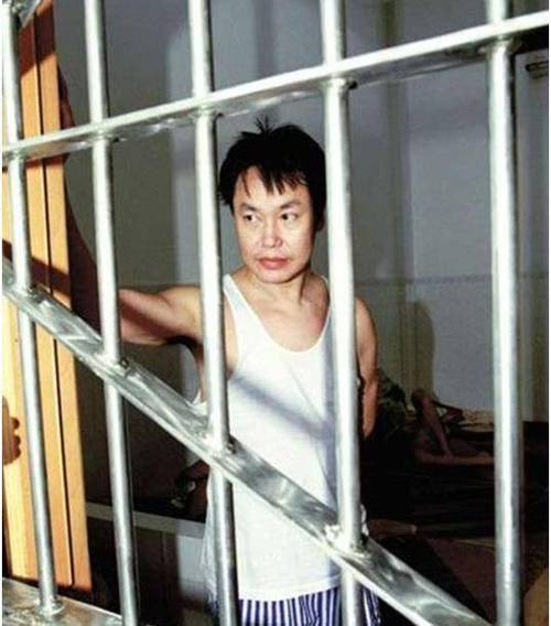 《插翅难逃:世纪大盗张子强的故事》2002年国产剧,全29集,1080P,国语中字,阿里云驱动下载