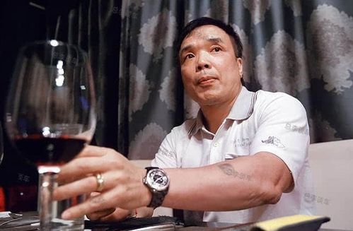 《插翅难逃:世纪大盗张子强的故事》2002年国产剧,全29集,1080P,国语中字,阿里云驱动下载