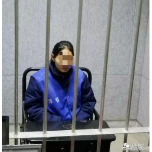 《95打拐第一案：真实翔实的拐卖案件（强烈推荐）》